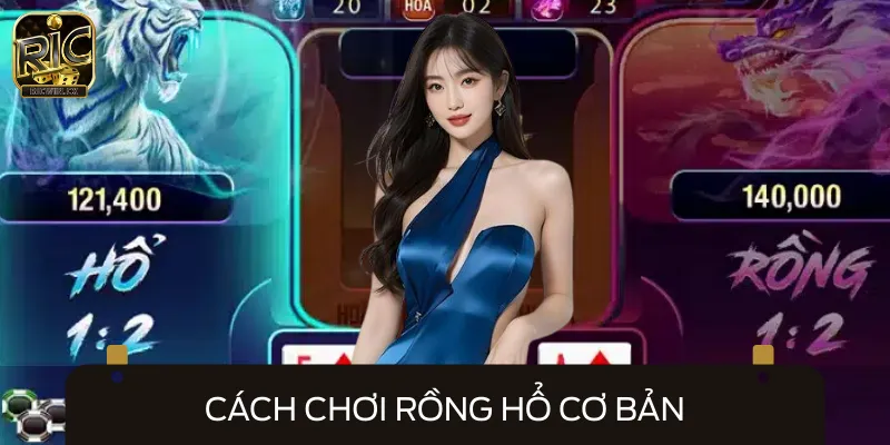 Chi tiết cách chơi rồng hổ dành cho newbie