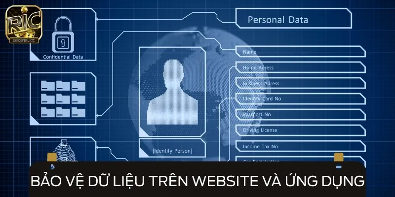 Các dữ liệu trên website và ứng dụng cũng sẽ được bảo vệ tối đa