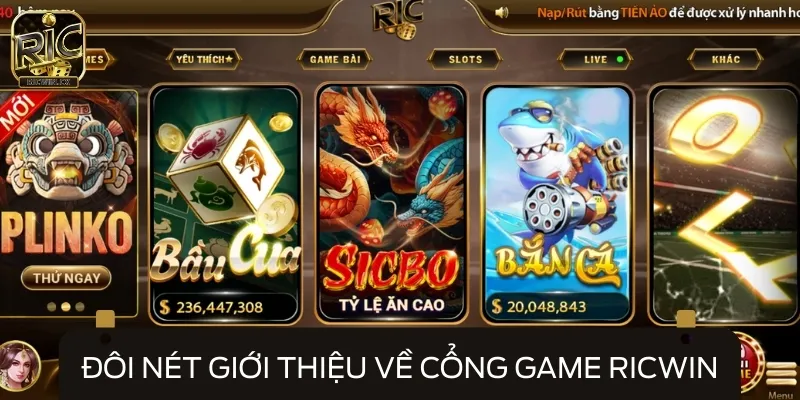 Giới thiệu về những thông tin cơ bản cho người mới tìm hiểu