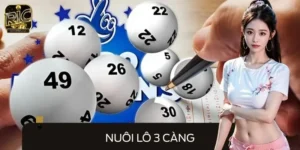 Bí Kíp Nuôi Lô 3 Càng - Bắt Chuẩn Số, Hốt Bạc Từ Cao Thủ