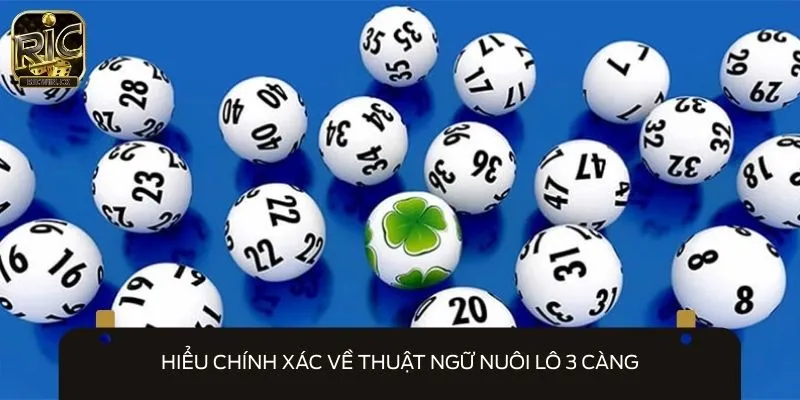 Nuôi lô 3 càng được nhiều tay chơi xổ số lâu năm lựa chọn