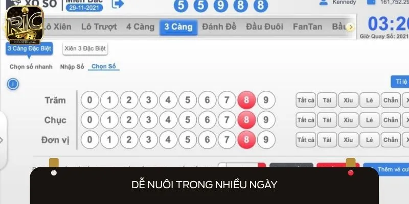 Dàn đề có thể nuôi trong nhiều ngày để thu được kết quả như mong muốn