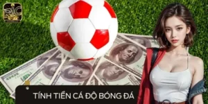 Nắm Vững Cách Tính Tiền Cá Độ Bóng Đá Thắng Chắc Nhà Cái