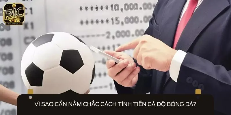 Hiểu rõ cách tính tiền cá độ bóng đá giúp phân bổ tiền vào cược hợp lý
